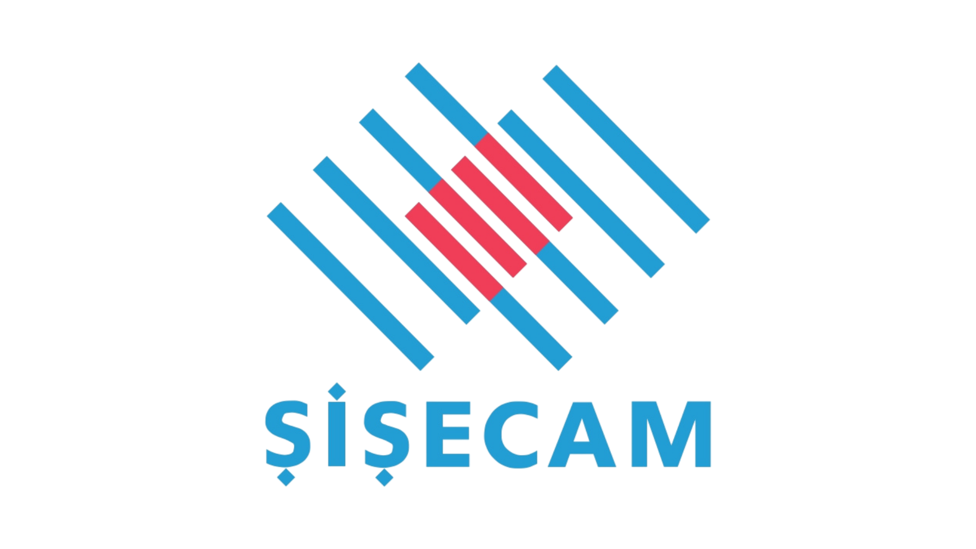 şişecam logo